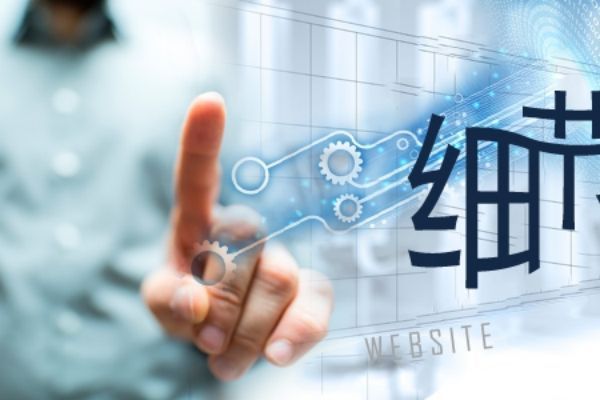 杭州跨境电商独立站建设与Google SEO优化实战